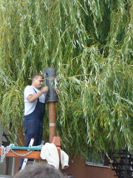 100.JPG