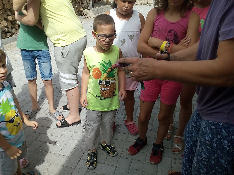IMG_20210714_101349.jpg