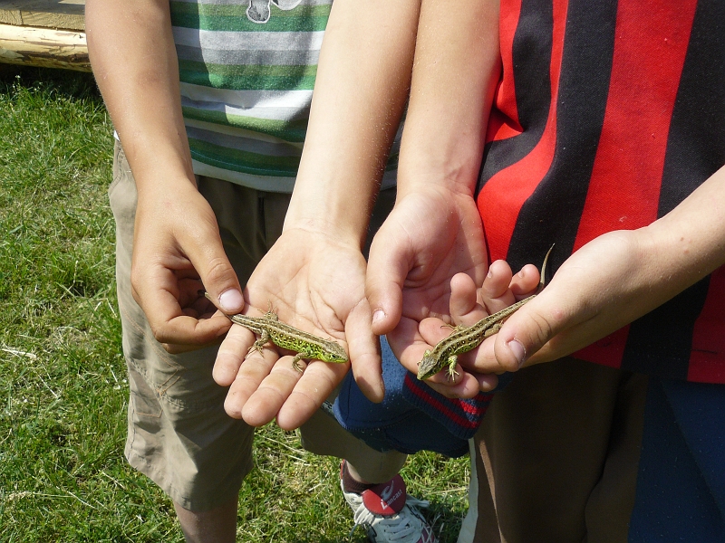 123.JPG