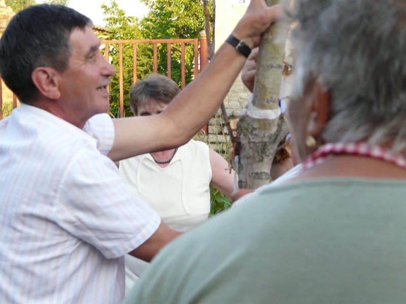 P1100006.JPG